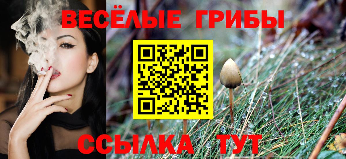Вязьма  Галлюциногенные грибы мухоморы  где найти   Вход с VPN 